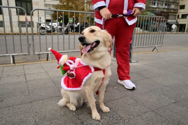 Athens Santa Run 2025, μια γιορτή αλληλεγγύης και αθλητισμού (εικόνες)