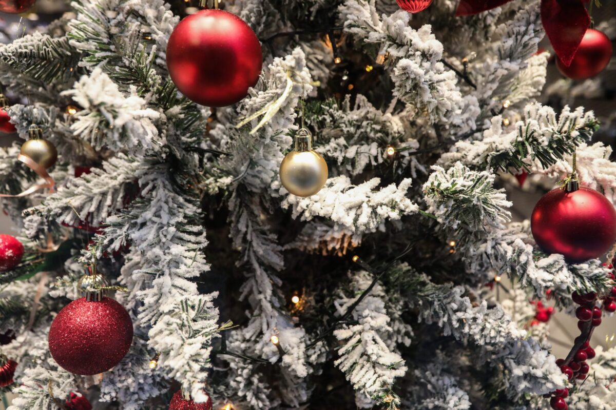 Χριστουγεννιάτικες ευχές από τις αθλητικές ομάδες με χιούμορ και χαμόγελο