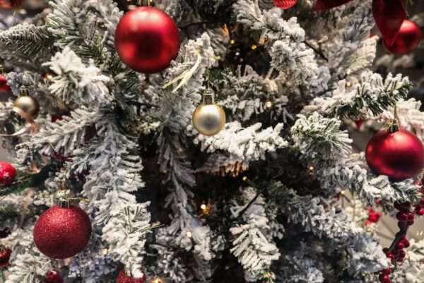 Χριστουγεννιάτικες ευχές από τις αθλητικές ομάδες με χιούμορ και χαμόγελο