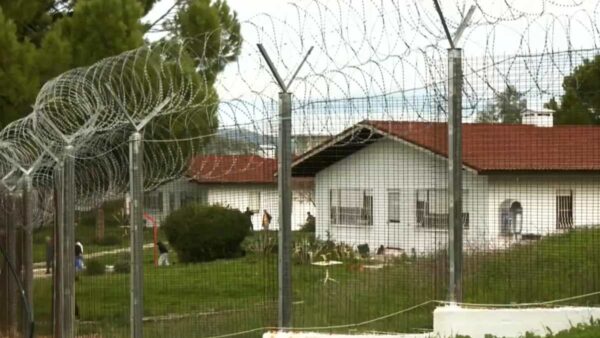 Η κάμερα του ΕΡΤnews στις φυλακές Θήβας: Δεύτερη ευκαιρία σε έγκλειστους – Εκπαιδεύονται σε αγροτικές καλλιέργειες ενώ εκτίουν την ποινή τους