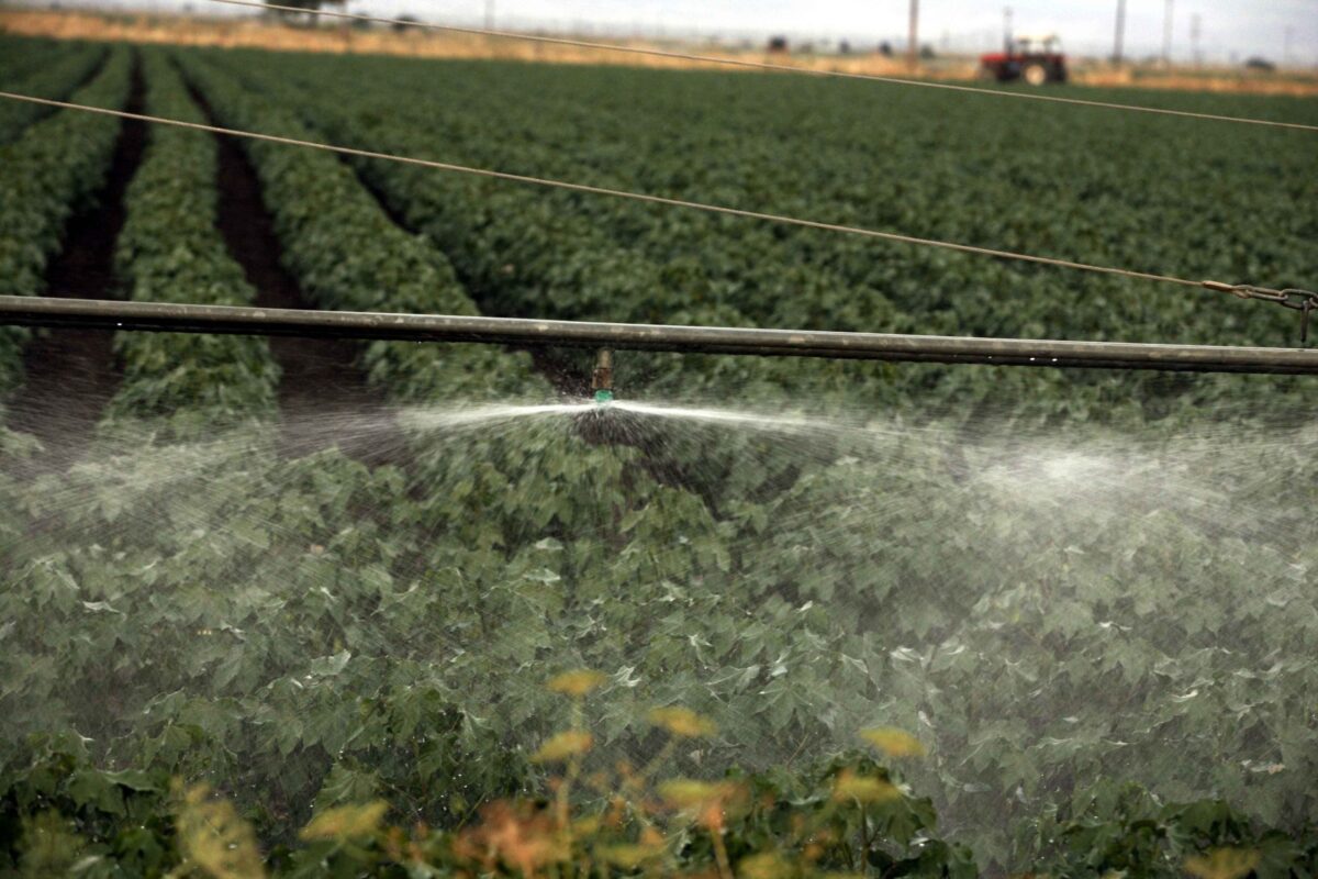 Για δήλωση ανύπαρκτων αγροτεμαχίων και παράνομη είσπραξη επιδοτήσεων ελέγχεται αγροτοσυνδικαλιστής