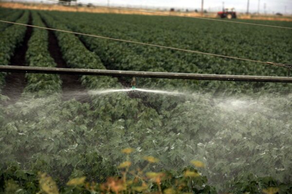 Για δήλωση ανύπαρκτων αγροτεμαχίων και παράνομη είσπραξη επιδοτήσεων ελέγχεται αγροτοσυνδικαλιστής