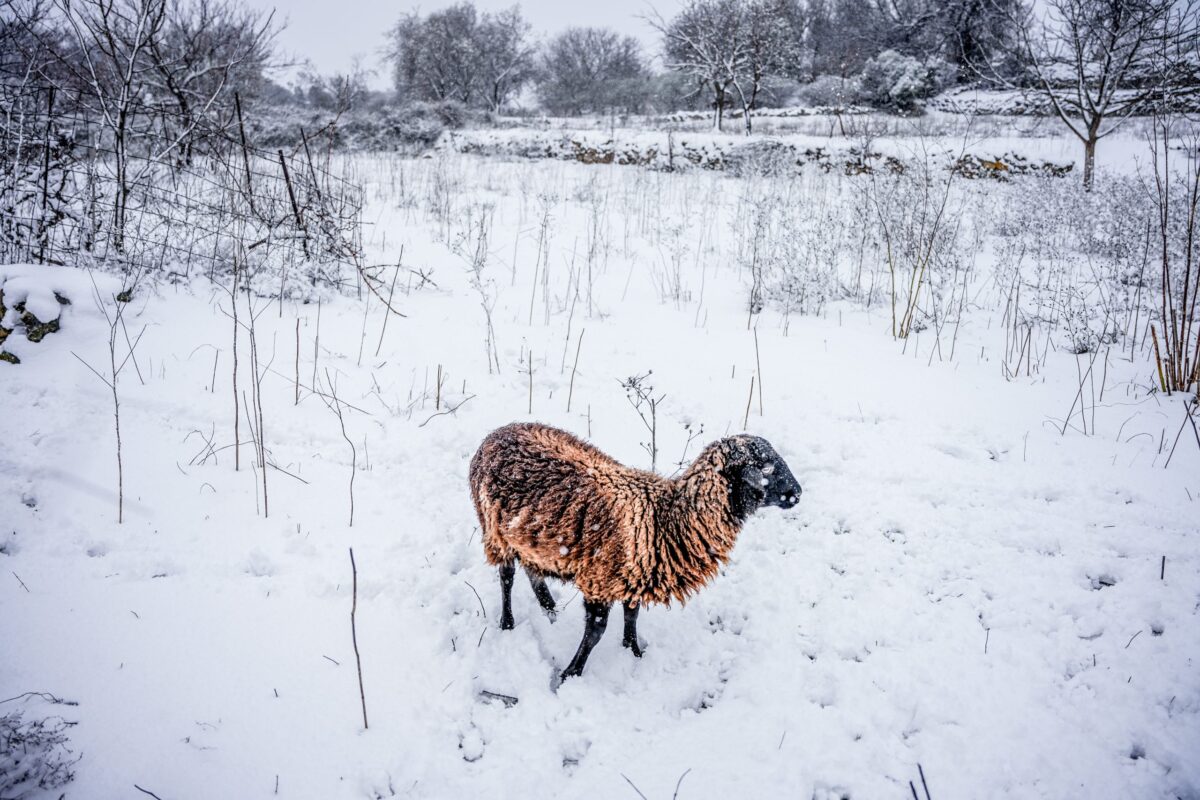 Πού θα χιονίσει από σήμερα το βράδυ – Τσουχτερό κρύο την Πρωτοχρονιά