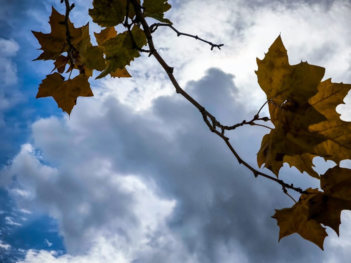Ήπιος καιρός μετά την έντονη ψυχρή εισβολή – Πού θα επιμείνουν οι βροχές