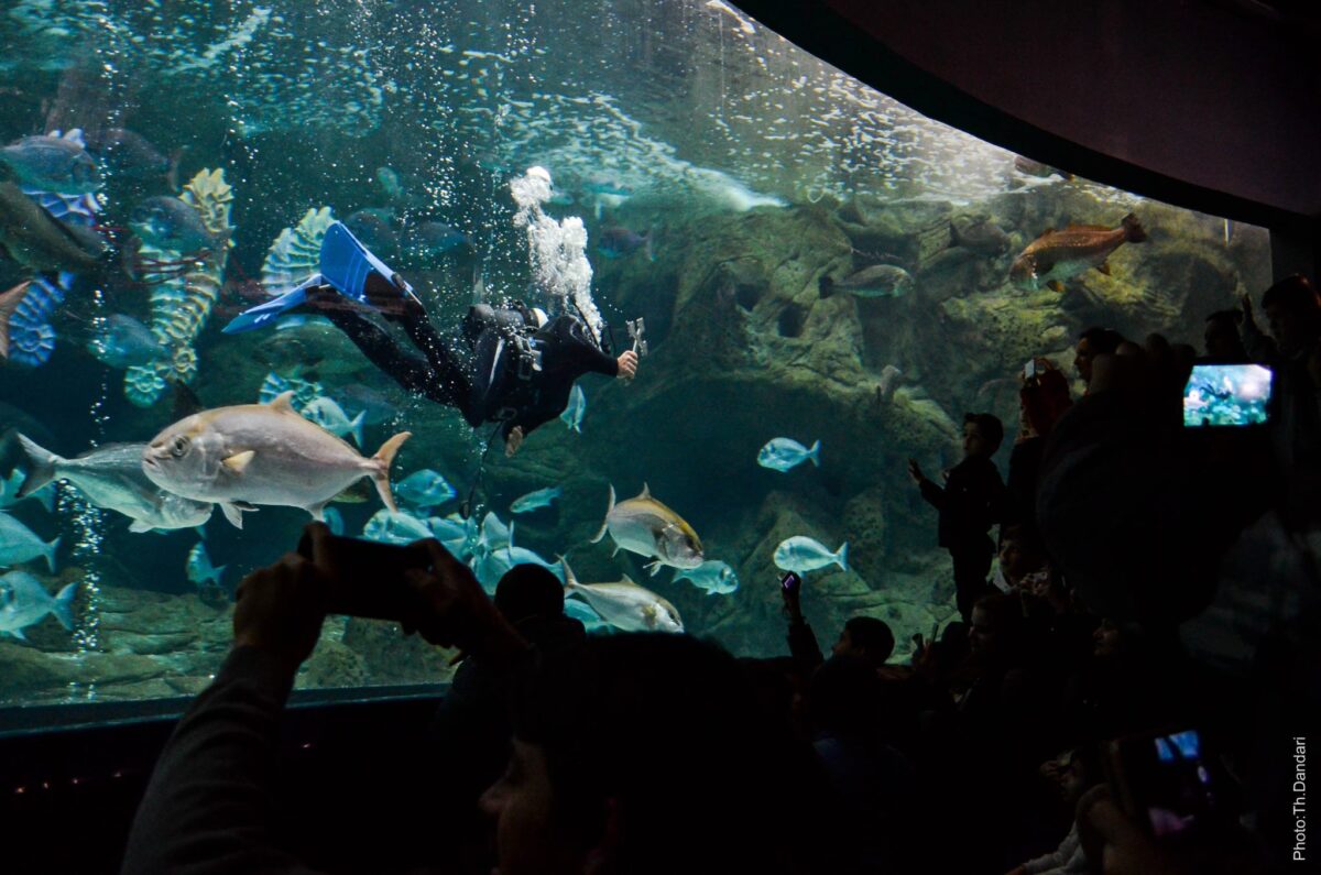 Ο Αγιασμός των Υδάτων στο Ενυδρείο Κρήτης