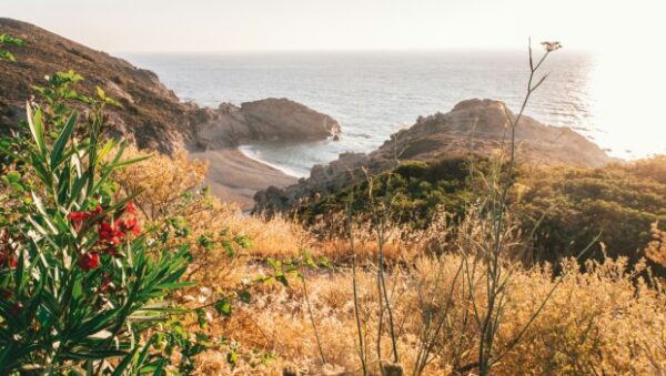 «Μπλε ζώνες»: Είναι οι παγκόσμιες περιοχές μακροζωίας μύθος; – Ένα ελληνικό νησί ίσως να έχει την απάντηση