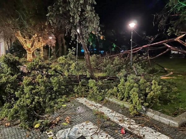 Αλεξανδρούπολη: Ανεμοστρόβιλος έκοψε πάνω από 15 δέντρα στο κέντρο της πόλης και αναποδογύρισε εκπαιδευτικά αεροσκάφη στο αεροδρόμιο «Δημόκριτος»
