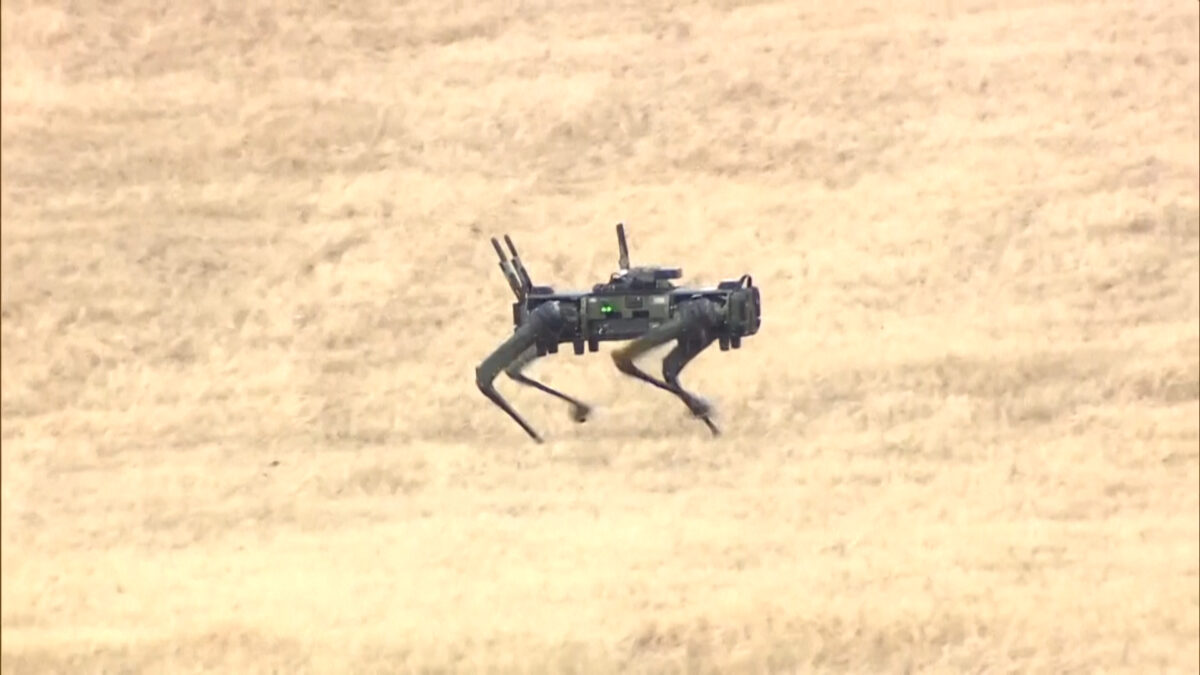 Τετράποδα ρομπότ στο πεδίο άσκησης των Ιαπωνικών δυνάμεων άμυνας
