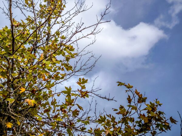 Καιρός: Καλοκαιρία και σήμερα, νέα πτώση του υδράργυρου το Σαββατοκύριακο, πού θα χιονίσει