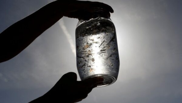 «Βόμβα» για τα μικροπλαστικά: Αμφιβολίες για την ανακάλυψή τους στο ανθρώπινο σώμα – Μελέτη λέει ότι πρόκειται για «αστειότητα»