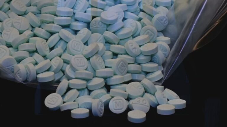 Οι ΗΠΑ ζητούν από το Μεξικό κοινές επιχειρήσεις για την καταστροφή εργαστηρίων φαιντανύλης στο έδαφός του