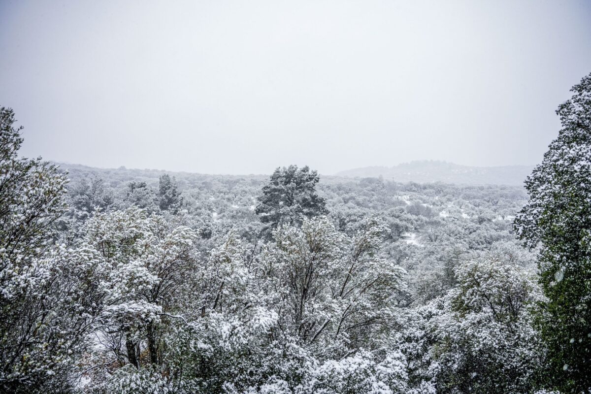 Καιρός: Ψυχρή εισβολή από το Σάββατο, κακοκαιρία από τα παλιά την Τετάρτη με ισχυρές χιονοπτώσεις στα ορεινά – Η πρόγνωση από τη Νικόλ Ζιακοπούλου
