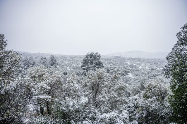 Καιρός: Ψυχρή εισβολή από το Σάββατο, κακοκαιρία από τα παλιά την Τετάρτη με ισχυρές χιονοπτώσεις στα ορεινά – Η πρόγνωση από τη Νικόλ Ζιακοπούλου