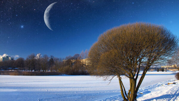 Νέα Σελήνη στον Αιγόκερω: Η ισχυρή επιρροή της δημιουργεί ευκαιρίες προόδου σε 4 ζώδια