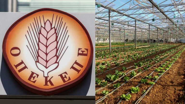 ΟΠΕΚΕΠΕ: Για κύκλωμα επίορκων υπαλλήλων έκανε λόγο η Παρασκευή Τυχεροπούλου