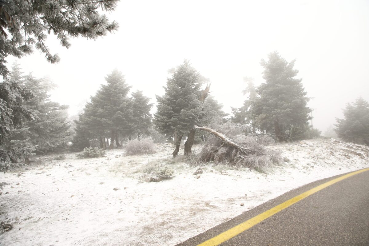 Η Πάρνηθα στα «λευκά» – Ανοιχτοί προς το παρόν οι δρόμοι
