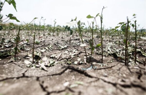 Κλιματική Αποτίμηση 2025 στην Ελλάδα: Αυξητικές θερμοκρασίες, λιγότερες χιονοπτώσεις και ξηρασία