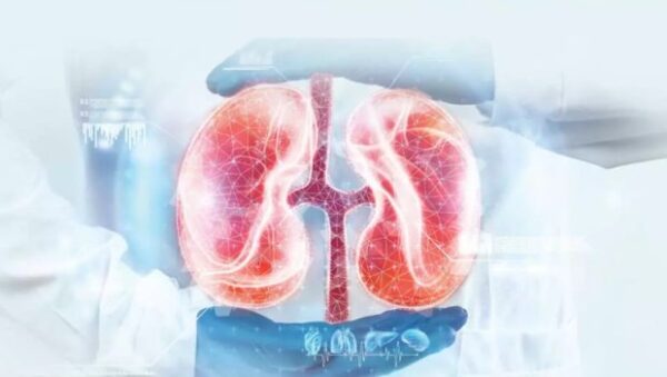 «Προλαμβάνω»: Προληπτικός έλεγχος νεφρικής λειτουργίας για 1,5 εκατ. πολίτες