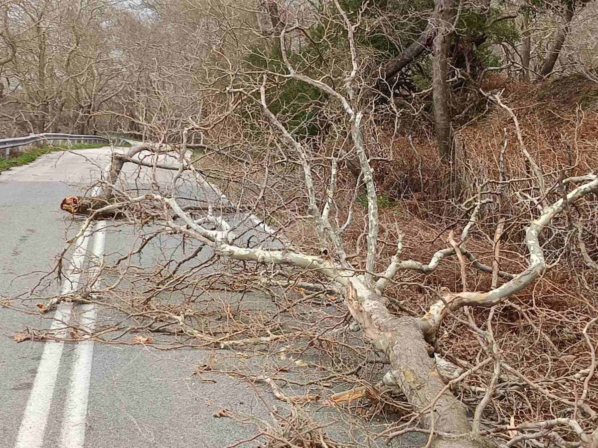 Aπαγορεύτηκε η κυκλοφορία λόγω θυελλωδών ανέμων σε Αλεξανδρούπολη και Σαμοθράκη