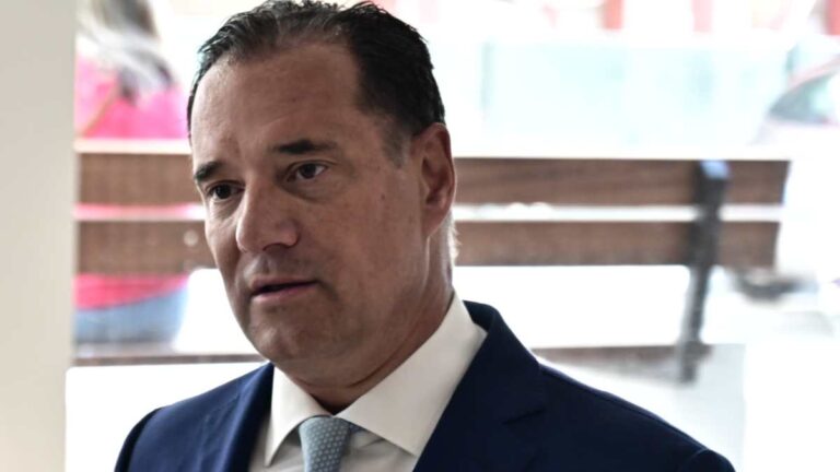 Αδ. Γεωργιάδης: Η στοχοποίηση της Στρατινάκη και του Γεωργίου έχει πολιτικά και επικοινωνιακά κίνητρα