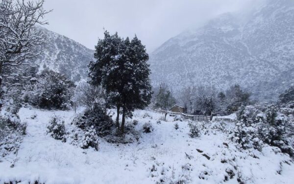Δύο ορειβάτες αναζητούνται στον Παρνασσό – Επιχείρηση για τη διάσωσή τους
