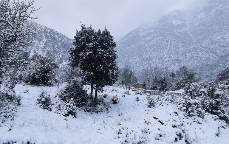 Δύο ορειβάτες αναζητούνται στον Παρνασσό – Επιχείρηση για τη διάσωσή τους