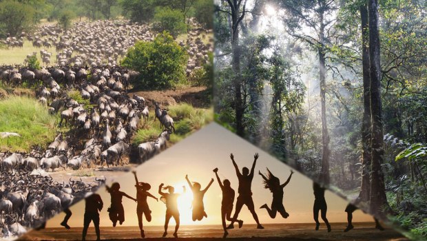 Ενιαία υγεία: 3 στις 4 λοιμώδεις νόσους προέρχονται από ζώα