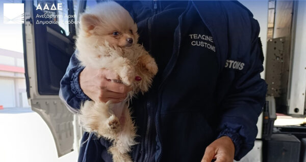 Ναρκωτικά, λαθραία τσιγάρα, αδήλωτο συνάλλαγμα σε μετρητά και ρούβλια εντόπισε η ΑΑΔΕ: Σαρωτικοί έλεγχοι με X-Ray και Έλβις