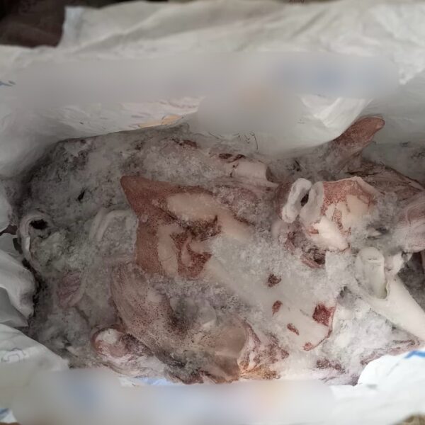 Νέες κατασχέσεις 5,6 τόνων ακατάλληλων τροφίμων από την Περιφέρεια Αττικής