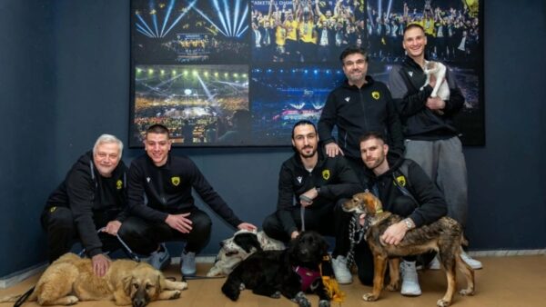 ΚΑΕ ΑΕΚ: Εξαιρετική δράση για την προστασία των ζώων (pics)