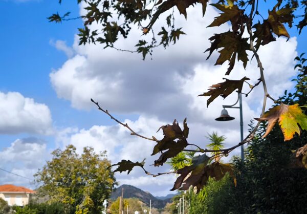 Καιρός: Ηλιοφάνεια και κανονικές θερμοκρασίες – Πρόγνωση από τον Γιάννη Σταματάκη