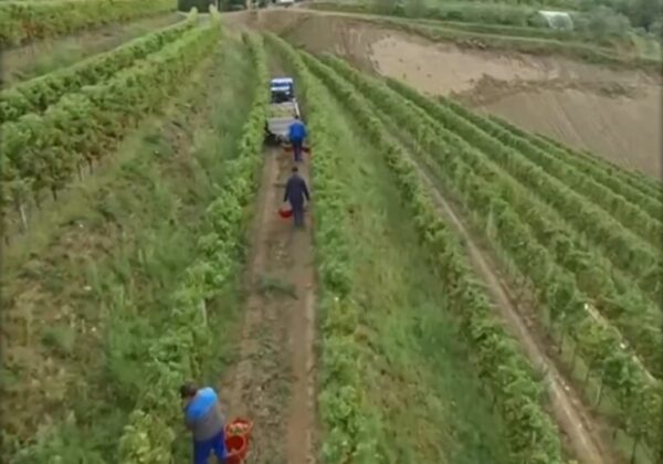 Η Βραζιλία επικύρωσε τη συμφωνία ΕΕ-Mercosur για το εμπόριο