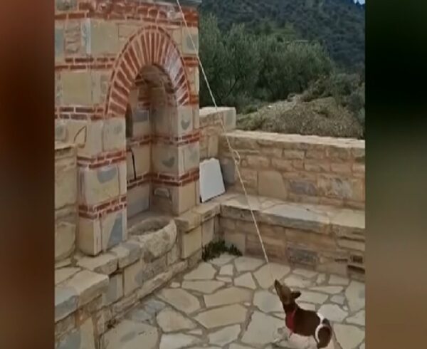 Κρήτη: Σκύλος χτυπάει την…καμπάνα εκκλησίας