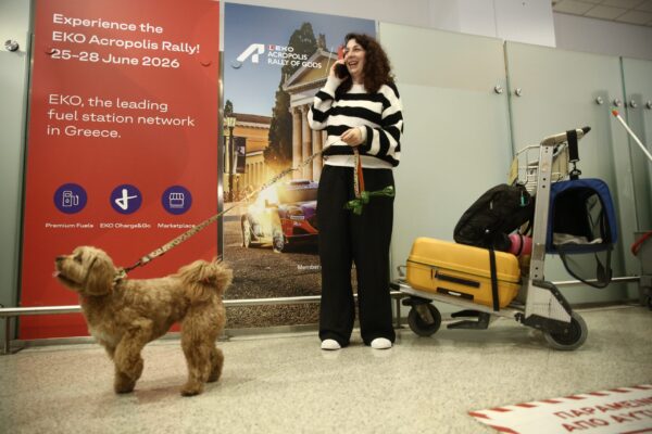 Επαναπατρίστηκαν 101 πολίτες από το Άμπου Ντάμπι – Είχαν μείνει πίσω γιατί δεν μπορούσαν να ταξιδέψουν τα κατοικίδιά τους