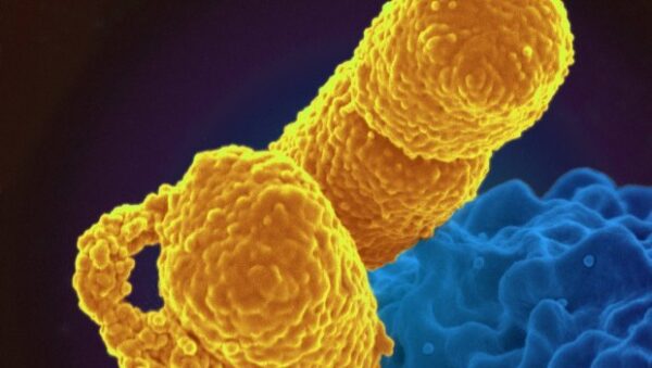 Τριπλάσια πλέον στην Ελλάδα τα 3 μικρόβια που κανένα αντιβιοτικό δεν σταματά