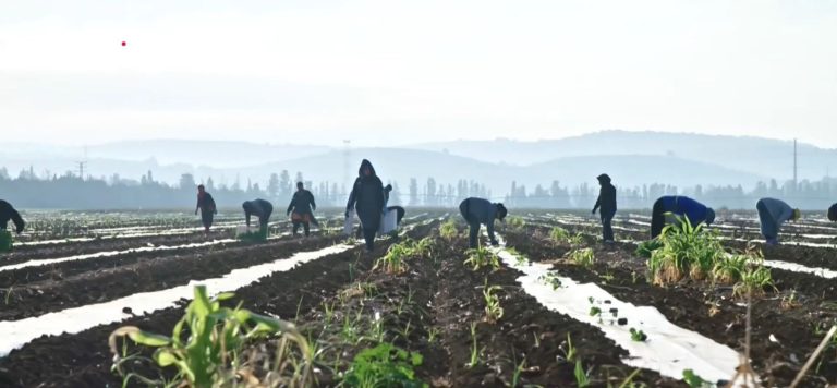 Ανατιμήσεις στα λιπάσματα: Τι λένε στο ΕΡΤnews Radio 105,8 εκπρόσωποι του αγροτικού κόσμου