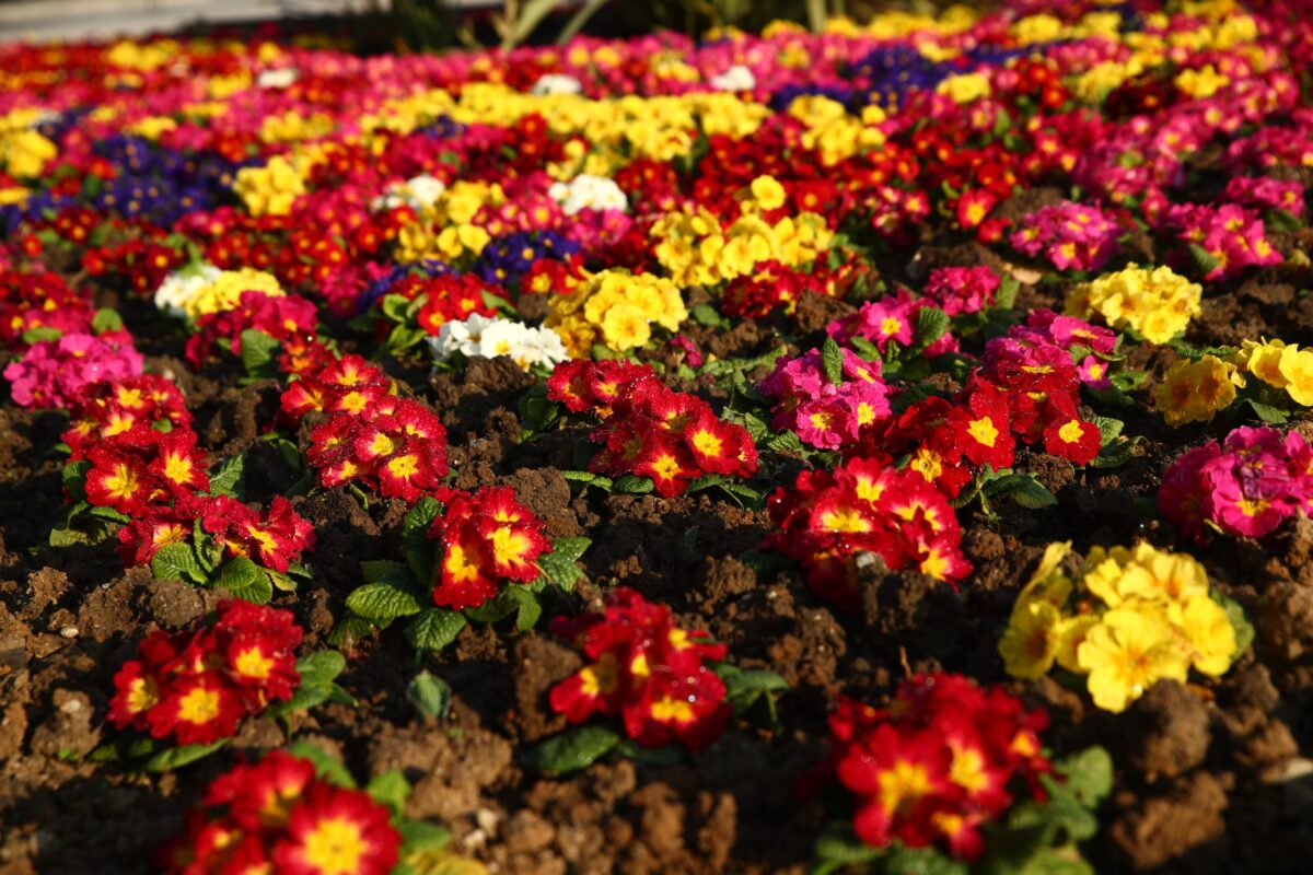 Εορτολόγιο: Δεν καταγράφεται ονομαστική εορτή για το Σάββατο, 28 Μαρτίου