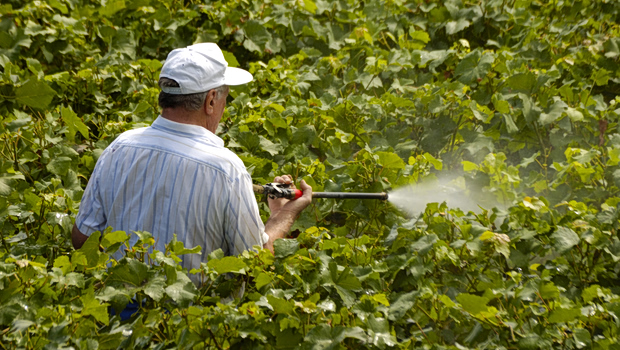 Φυτοφάρμακα και καρκίνος – Ακόμα και 150% υψηλότερος κίνδυνος για τους πληθυσμούς που εκτίθενται σε αυτά