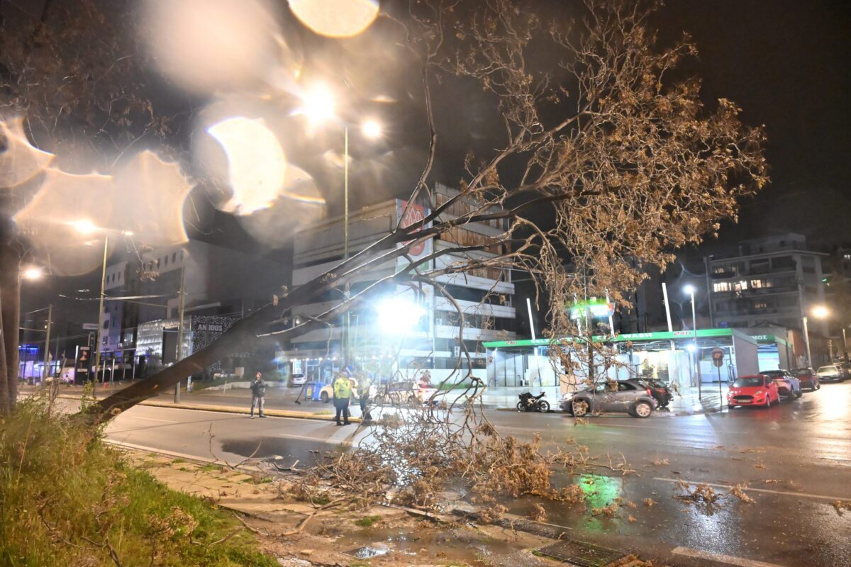 Πτώση δέντρου στην οδό Πειραιώς λόγω θυελλωδών ανέμων – Κυκλοφοριακές ρυθμίσεις