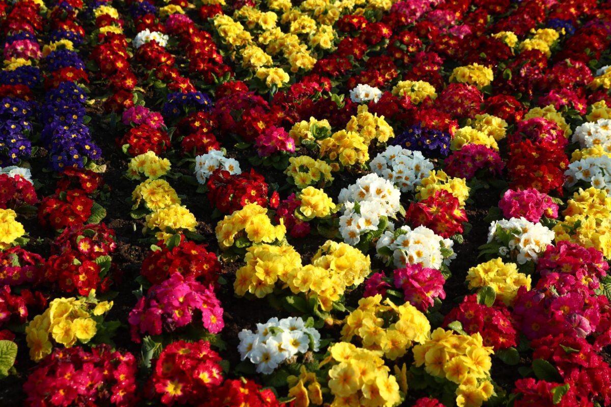 Εορτολόγιο: Ποιοι γιορτάζουν σήμερα, 2 Απριλίου