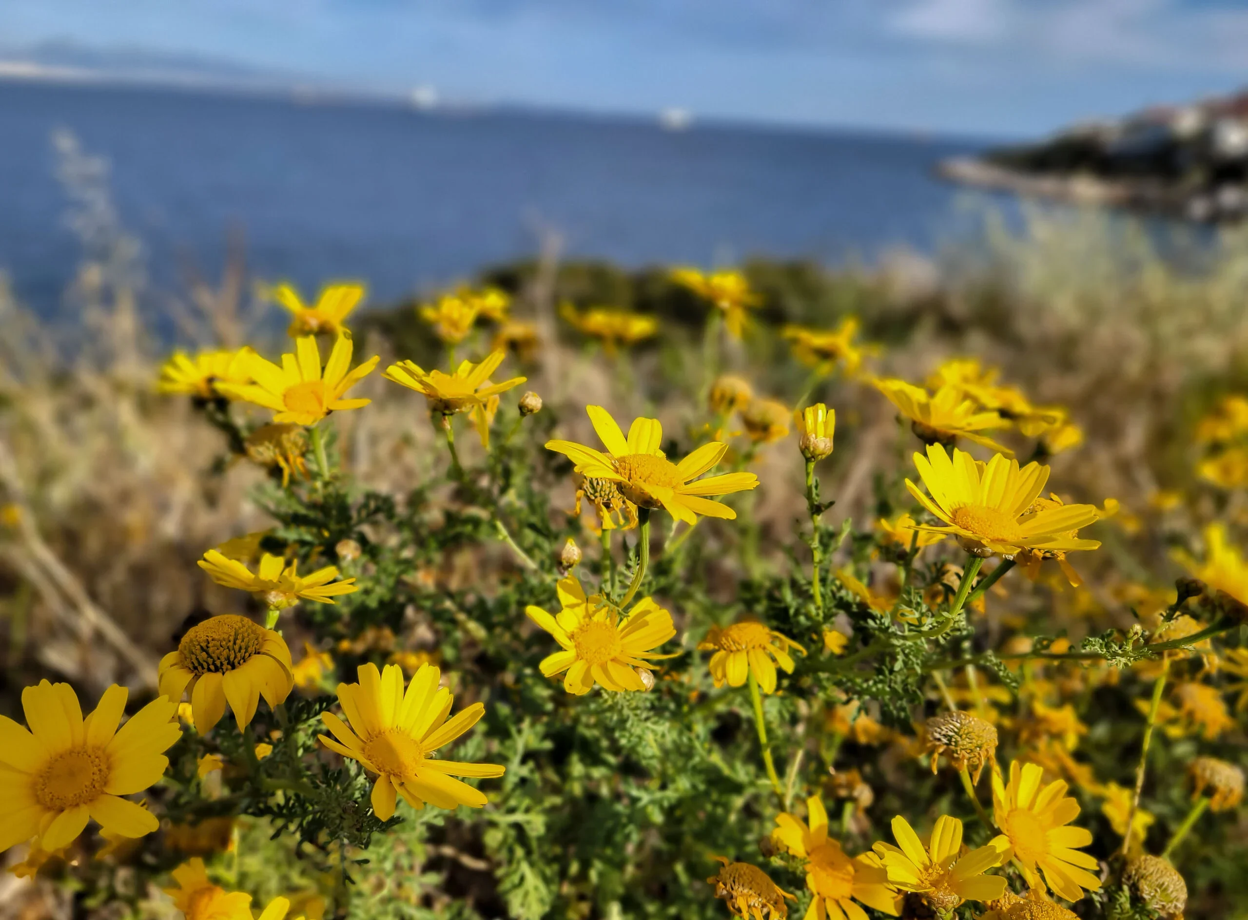Άστατος ο καιρός σήμερα Κυριακή των Βαΐων – Πάσχα με βοριάδες και πιθανές βροχές