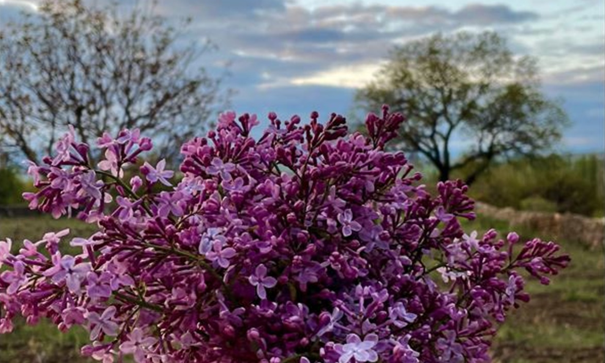 Καιρός: Αίθριος με πρόσκαιρες νεφώσεις σήμερα – Σταδιακή επιδείνωση τις επόμενες μέρες