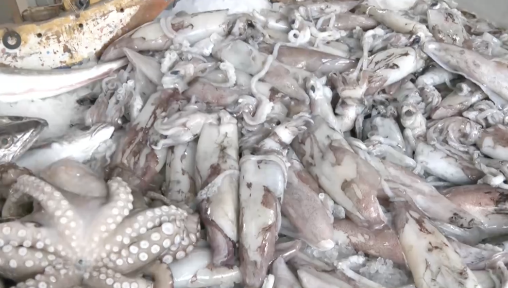 Θαλασσινά για τη Σαρακοστή: Τιμές, ελλείψεις και τι να προσέξουν οι καταναλωτές πριν το Πάσχα