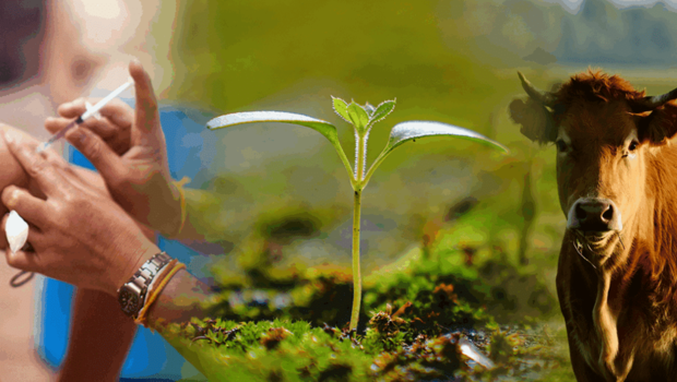 Μία και ενιαία η υγεία για ανθρώπους ζώα και περιβάλλον