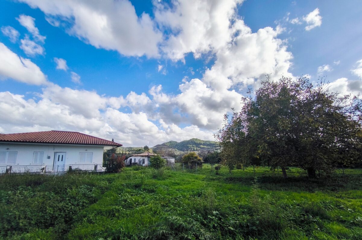 Καιρός: Ήπιος για τις ημέρες του Πάσχα – Χωρίς έντονα φαινόμενα, με πρόσκαιρες βροχές το Μεγάλο Σάββατο – Πρόγνωση από την Α. Τυράσκη