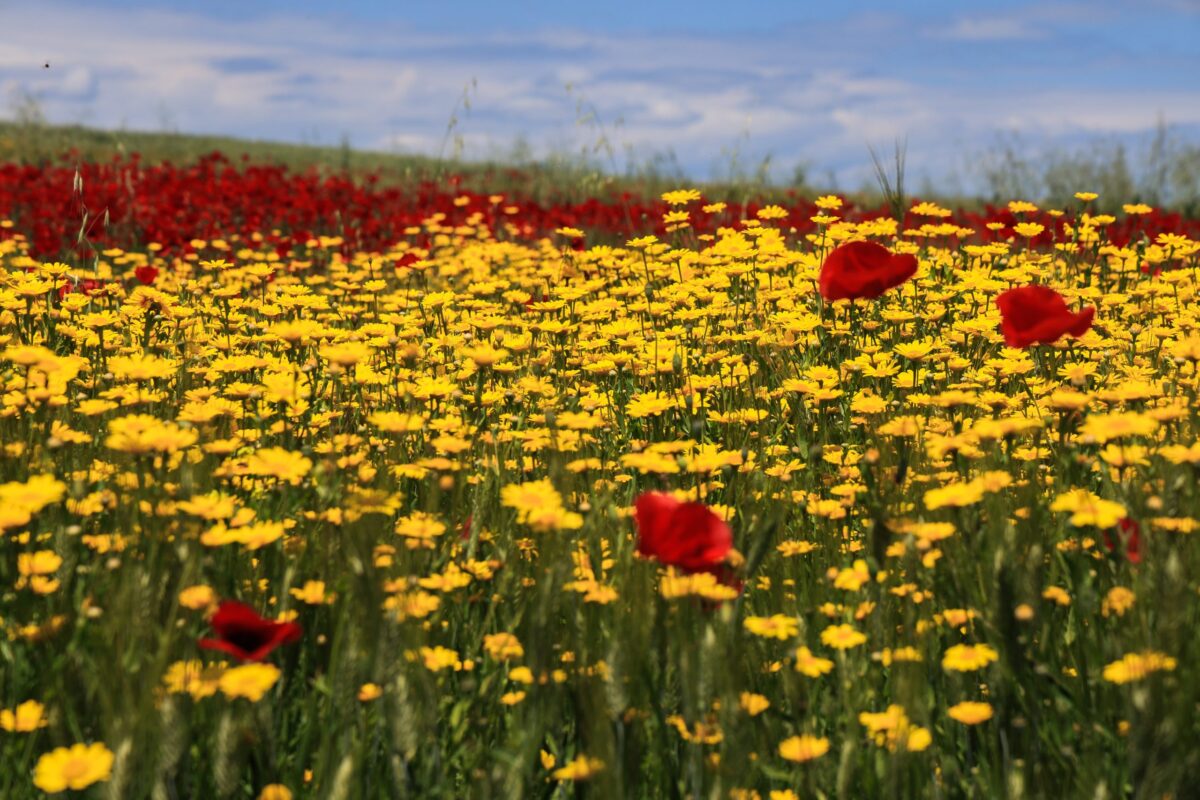Ο καιρός το Πάσχα: Ιδανικές συνθήκες την Κυριακή – Πώς θα κάνουμε Ανάσταση