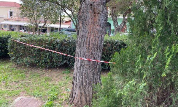 Πρωταθλητής της άρσης βαρών ο ένας από τους τρεις συλληφθέντες για τον θάνατο της 19χρονης στην Κεφαλονιά – Τι προηγήθηκε