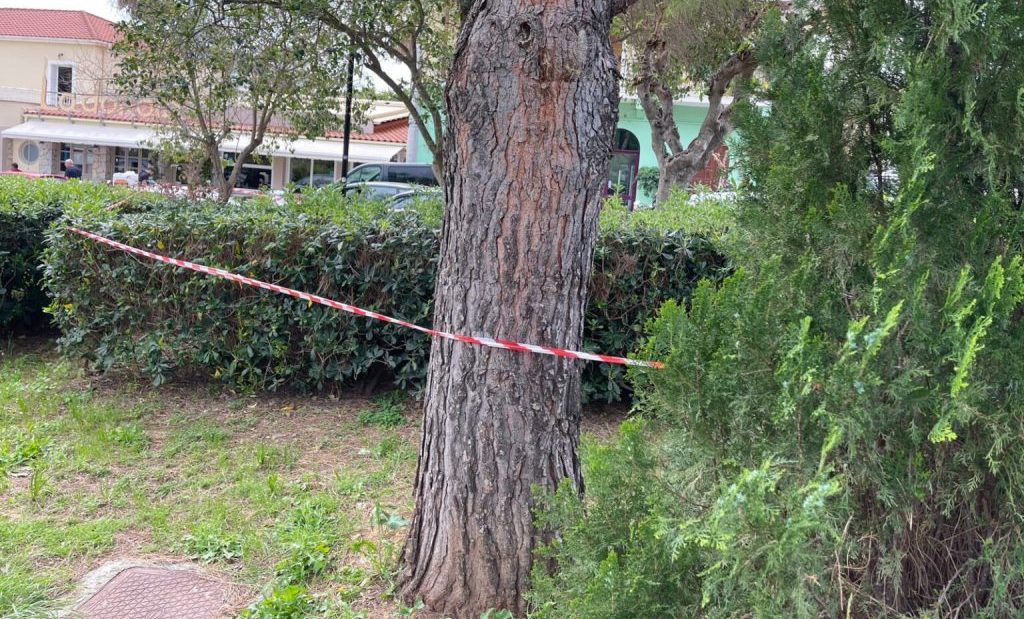 Πρωταθλητής της άρσης βαρών ο ένας από τους τρεις συλληφθέντες για τον θάνατο της 19χρονης στην Κεφαλονιά – Τι προηγήθηκε