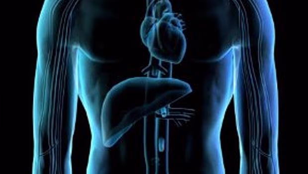 Ιογενείς ηπατίτιδες: Εμβόλια και προηγμένες θεραπείες προστατεύουν τη δημόσια υγεία