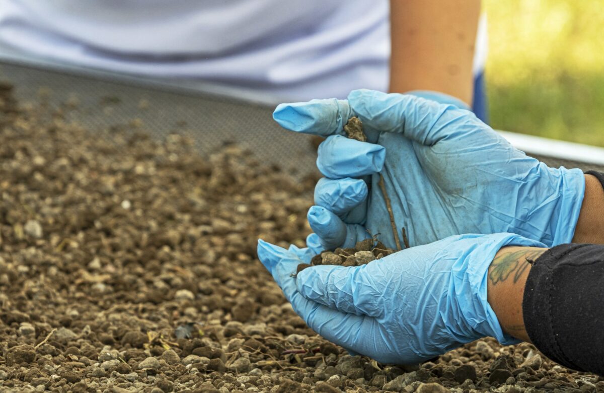Ακτιβιστές που αναζητούν εξαφανισμένους ανθρώπους στο Μεξικό ανακάλυψαν περισσότερα από 1.000 θραύσματα οστών σε λίμνη